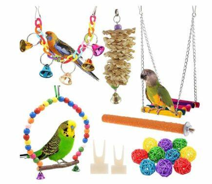 MXSTORY Bird Cage 12 Pack
