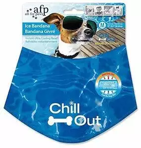 All For Paws Chill Out Bandana