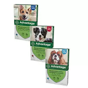 Advantage Spot-On Solution for Dogs
