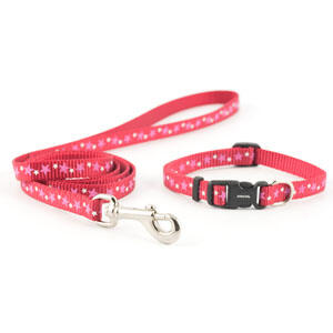 Ancol-Stars-Small-Bite-Puppy-X-SmallSmall-Dog-Collar-Lead-Set-Red