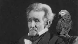 Andrew Jackson Parrot