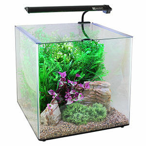 Aqua-One-Aqua-Aspire-Glass-Aquarium-55-Litre