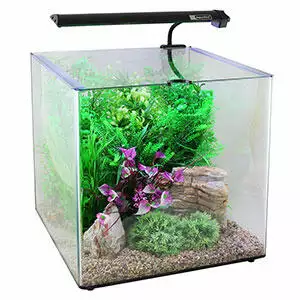Aqua-One-Aqua-Aspire-Glass-Aquarium-55-Litre