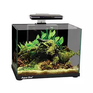 Aqua One Aqua Aspire Glass Aquarium