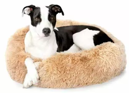 BarkBox Memory Foam Calming Dog Bed