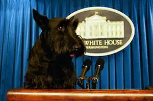 George Bush's dog Barney making a speech at the White House