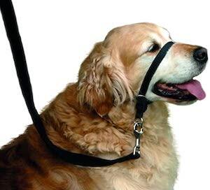 Beaphar-Gentle-Leader-Black-Dog-Head-Collar-Medium