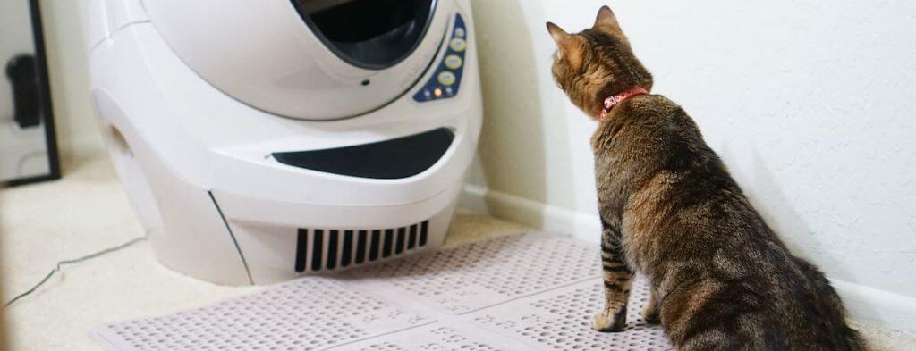 Best Cat Litter Tray Box Mats