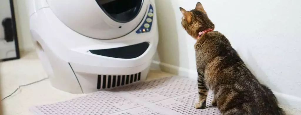 Best Cat Litter Tray Box Mats