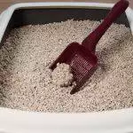 Clumping Cat Litters