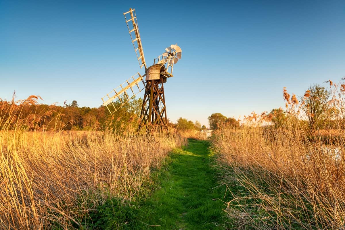 Best DogFriendly Cottages In Norfolk Reviewed for 2022 Petz
