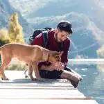 Dog-Friendly Cottages In The Lake District