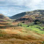 Dog-Friendly Hotels In The Lake District