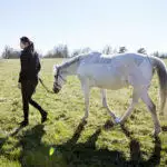 Gifts For Horse Lovers