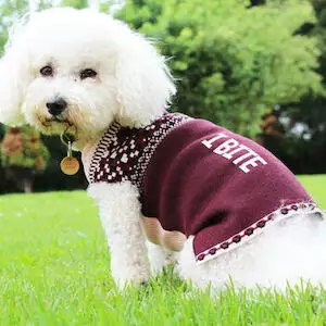 Personalised Knitted Dog Jumper