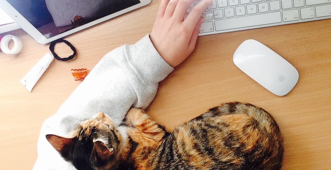 Best Online Vets Reviewed for 2022 Petz