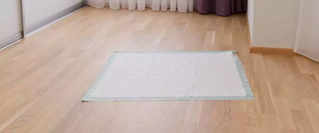 Best Puppy Training Pad