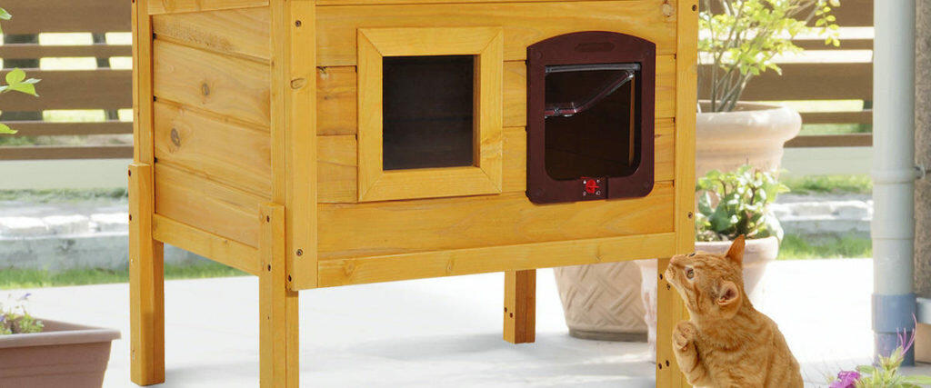 Best Wooden Cat House Shelter Shed