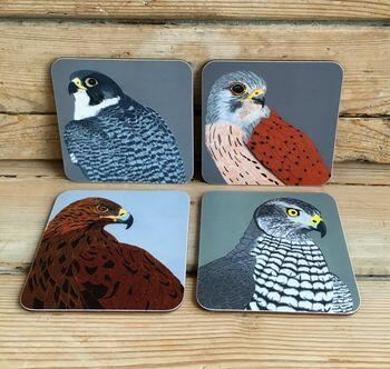 Best Gifts For Bird Lovers - Birds Of Prey Coasters