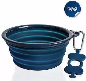 Bonanza Collapsible Bowl
