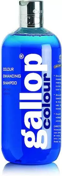 Carr & Day & Martin Gallop Colour Enhancing Shampoo