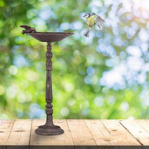 Cast-Iron-Standing-Bird-Bath