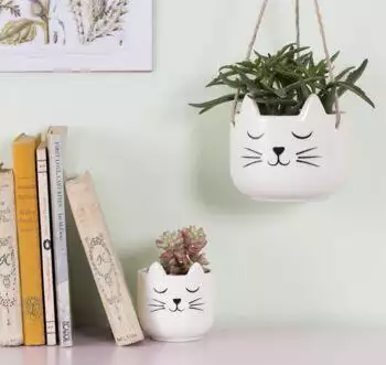 Cat Planter With A Succulent