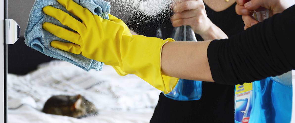 Cats and Cleaning Products