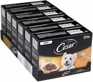 Cesar Deliciously Fresh Wet Dog Food for Adult Dogs