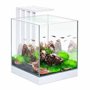 Ciano-Nexus-25-LED-Aquarium-Light-22-Litres-Tank-White