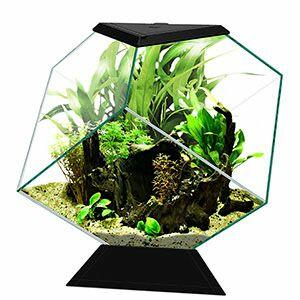 Ciano-Nexus-Diamond-Aquarium-14-Litre