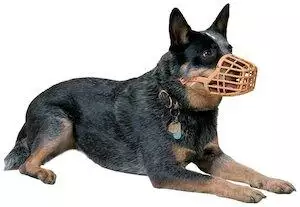 Company Of Animals Baskerville Classic Dog Muzzle