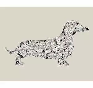 Dachshund Graphic Print