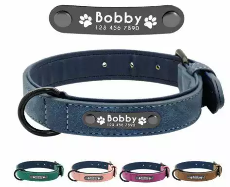 Didog Soft Leather Padded Custom Dog Collar