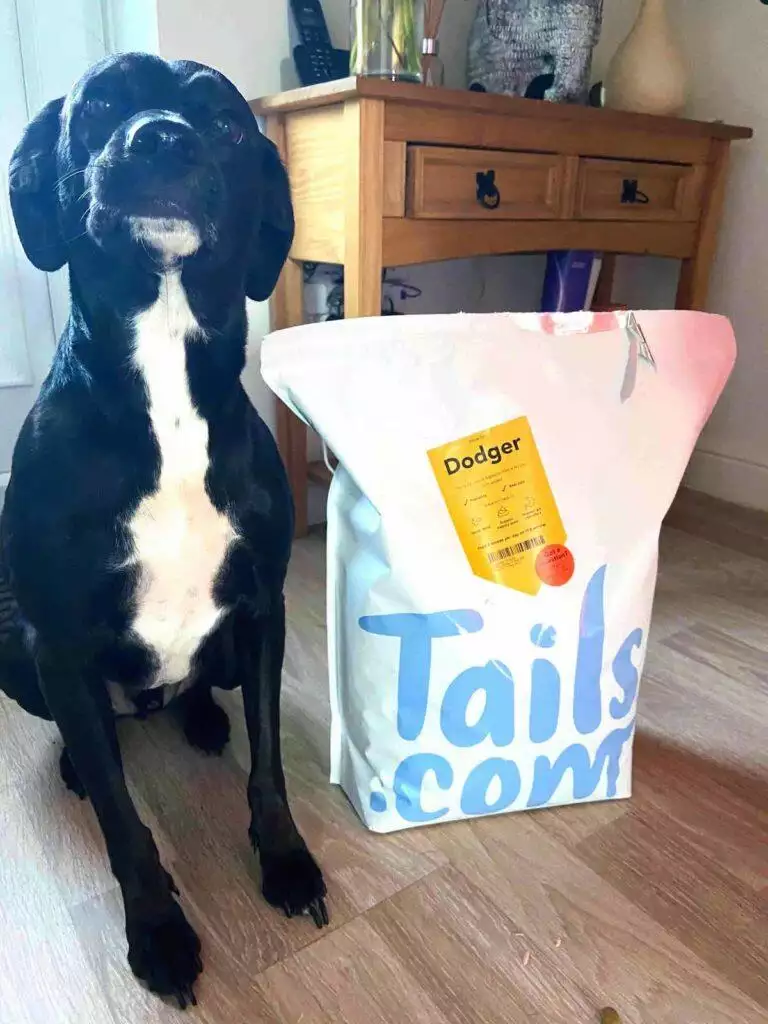 Dog Food Review Tails Subscription