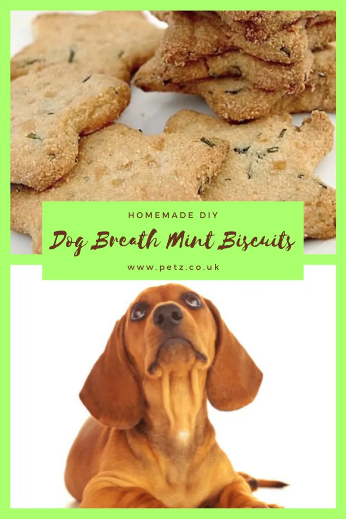 Dog mint biscuits
