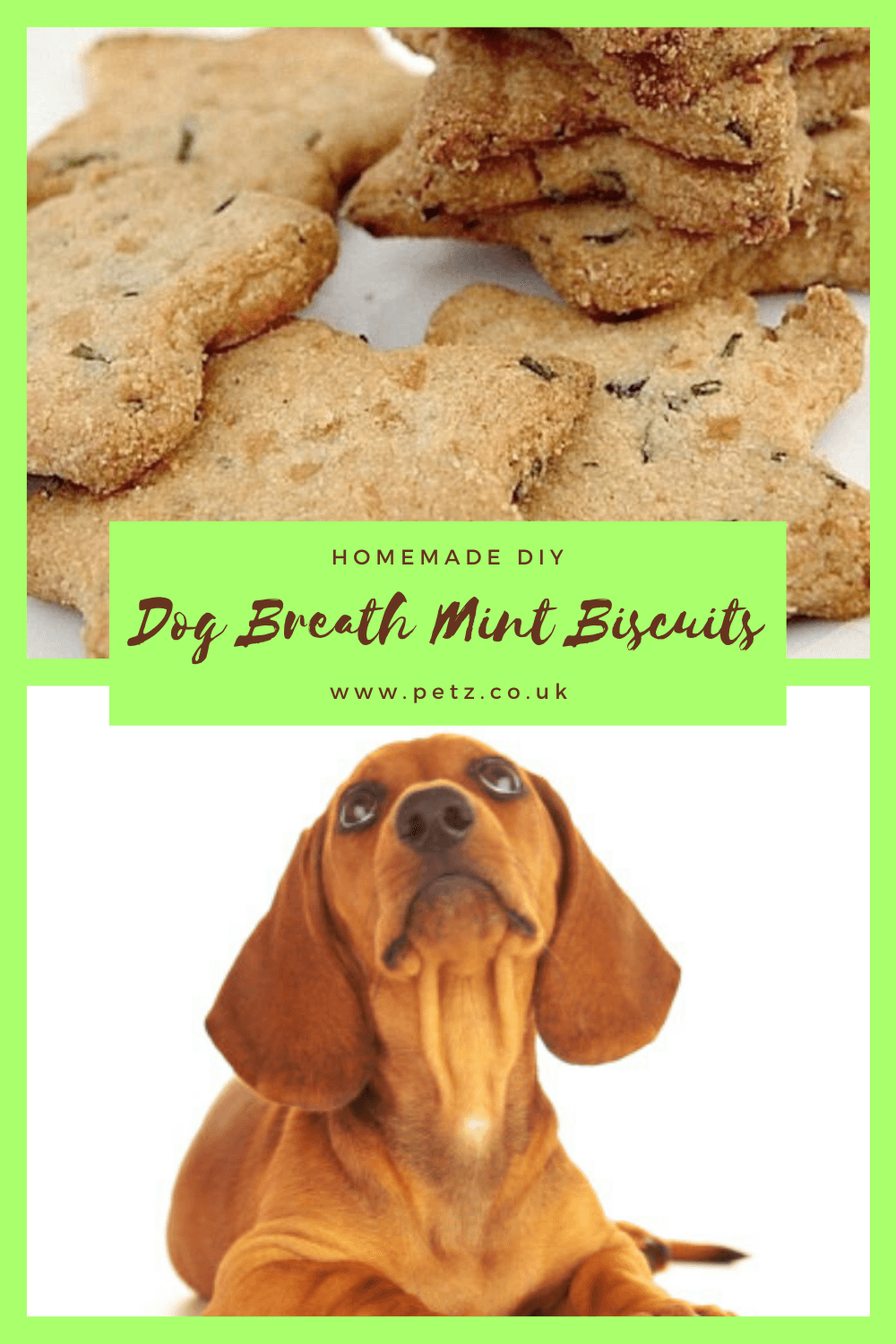 DIY Doggy Breath Mints Petz