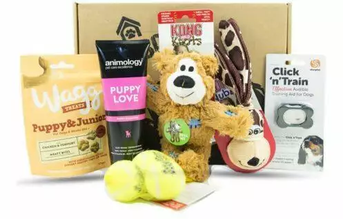 DogBox Boutique Puppy Hamper