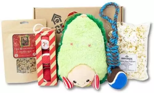 DogBox Boutique The Christmas Dog Gift Box