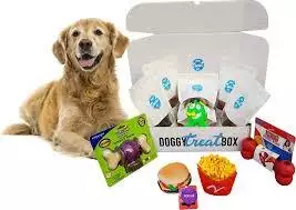 Doggy Treat Box