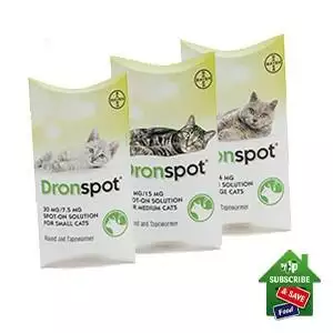 Dronspot Spot-On Cat Worming Treatment