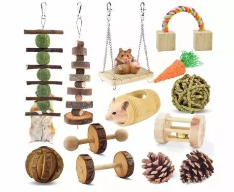 ERKOON 13 Pack Guinea Pig Chew Toys