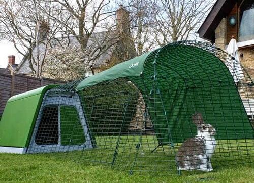 Eglu Classic Rabbit Hutch