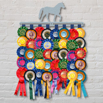 Equestrian Rosette Hanger