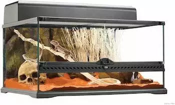 Exo Terra Glass Natural Terrarium Medium/Low