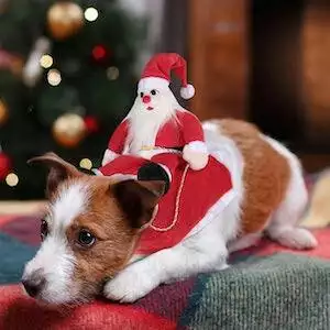 Father Christmas Costume