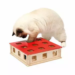 Ferplast-Magic-Box-Clever-And-Happy-Cat-Toy-Web-Exclusive
