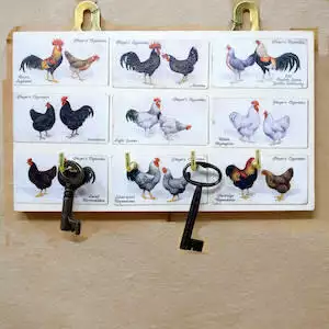 Four Hook Chicken Key Rack