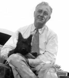 Franklin D. Roosevelt and his pet dog, Fala