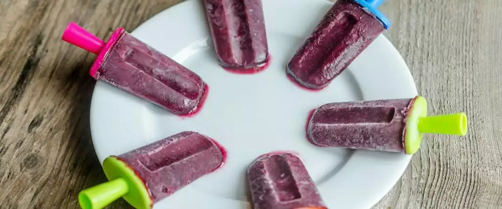 Fruit Smoothie Dog Ice Lollies